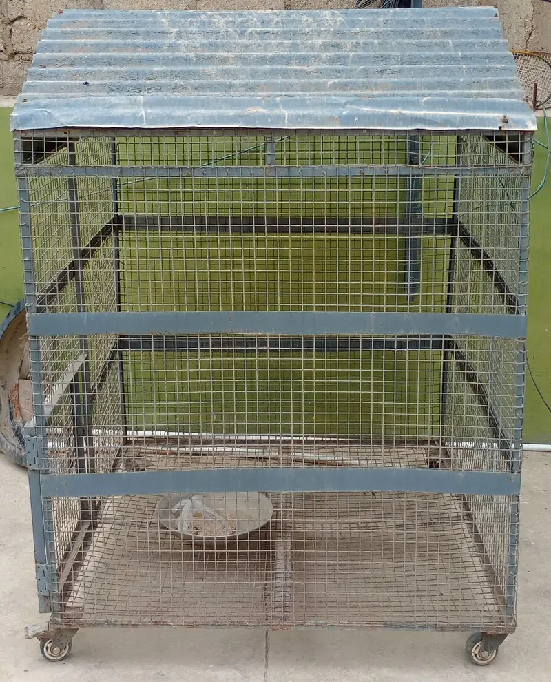 Cage for hens, pigeon, parrot,cat — photo 2