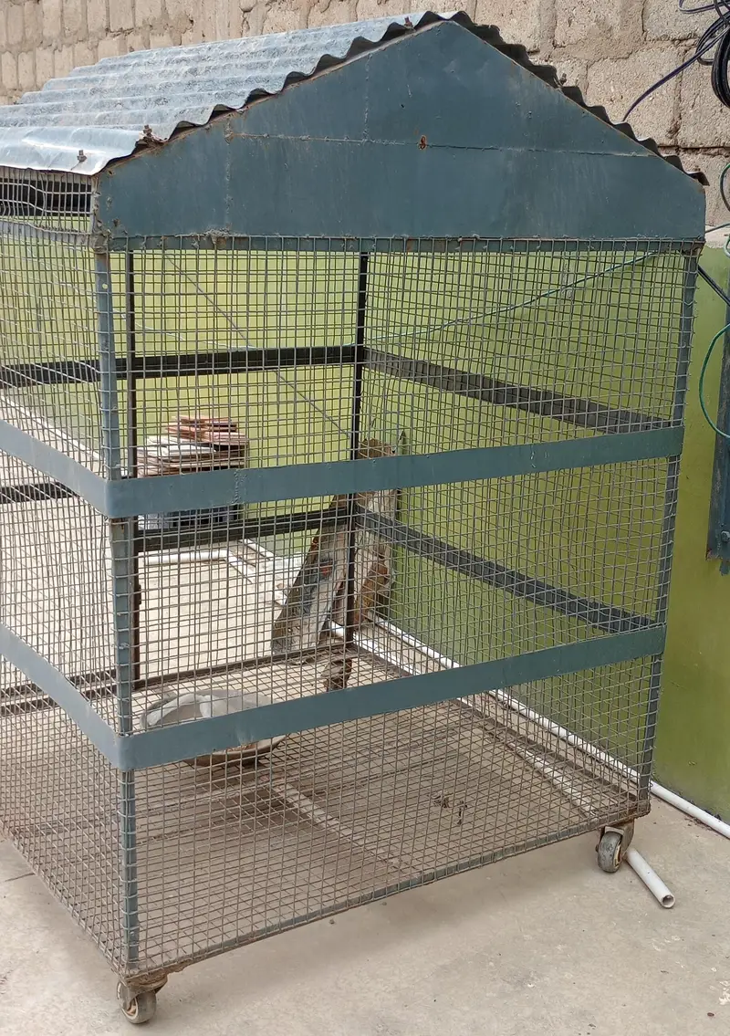 Cage for hens, pigeon, parrot,cat — photo 3