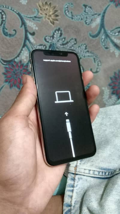 Apple iPhone X