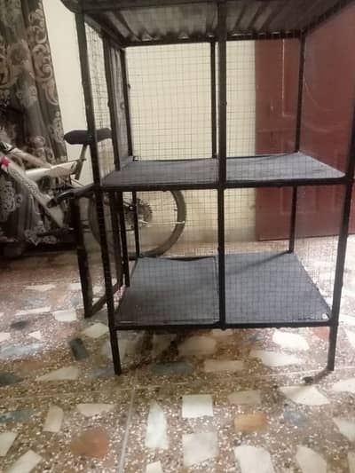 Hen cage for sale 03195793061