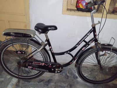 janpenes sports cycle