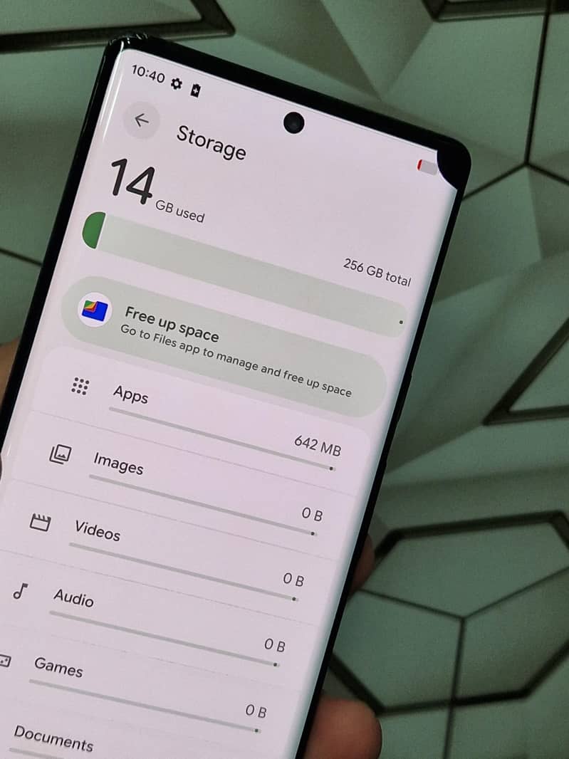 Google Pixel 6 Pro 1