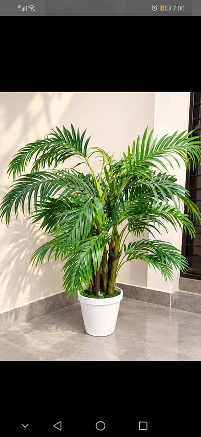 Beautiful decorative artificial plam plant