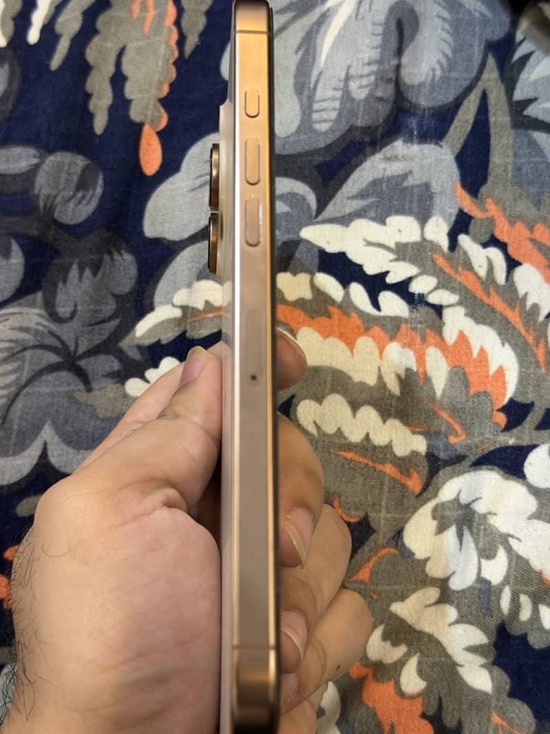 Apple iPhone 16 Pro Max 1