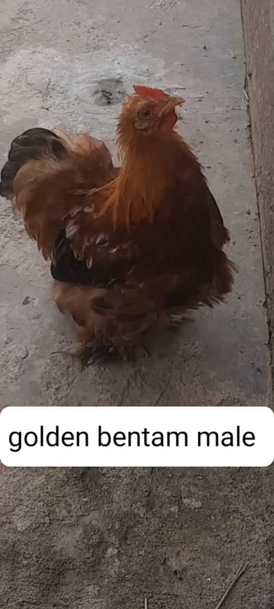Best offer 4 you dont missed  . .