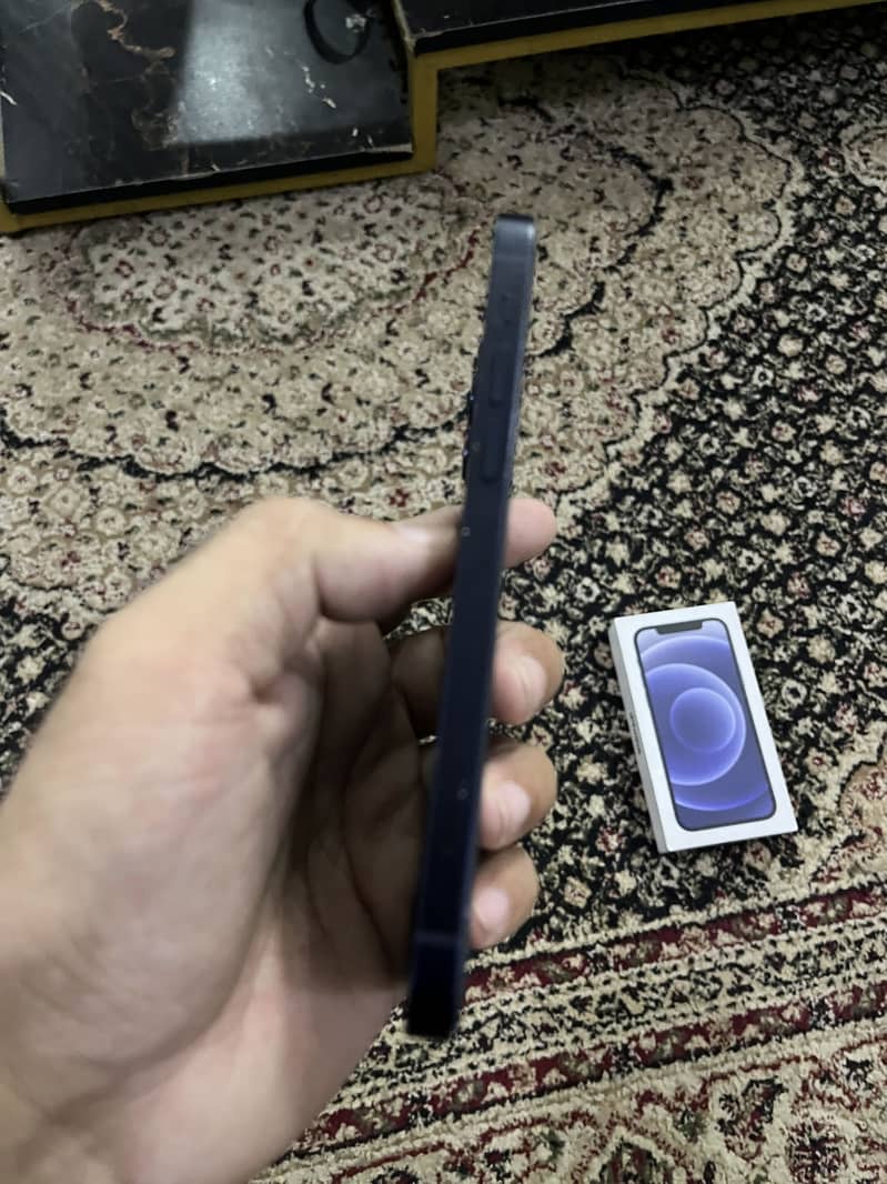 APPLE iPhone 12 with Box - Mobile Phones - 1120782579