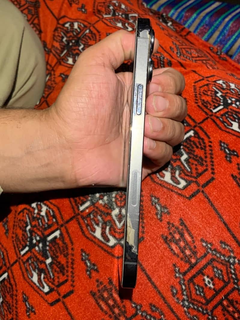 Apple iPhone 13 Pro Max 1