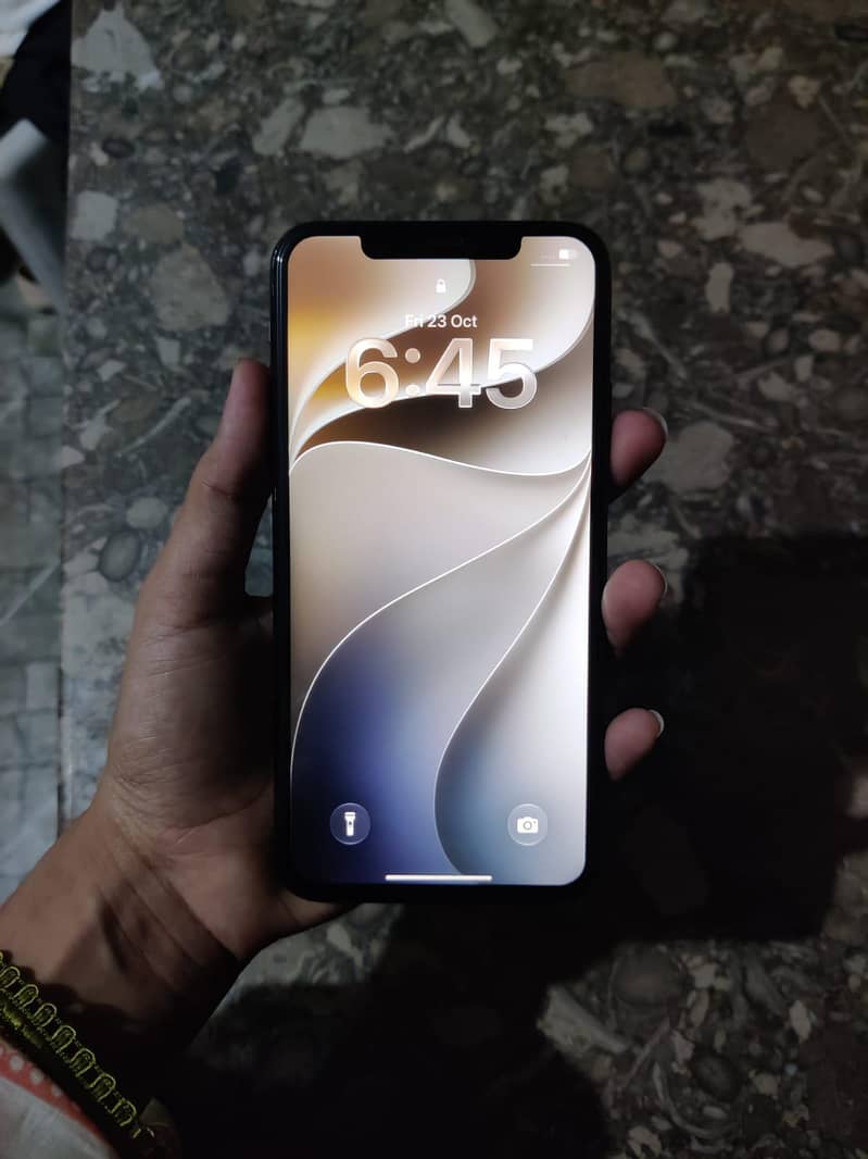 Apple iPhone 11 Pro Max 1