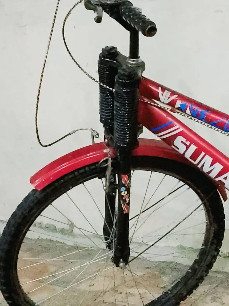 Sumac 1