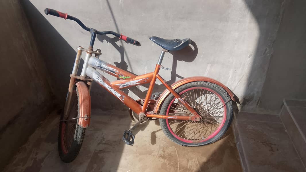 Cycle 0