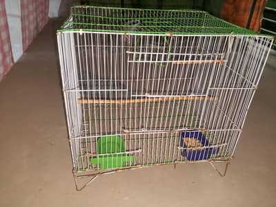 parrot cage for sale