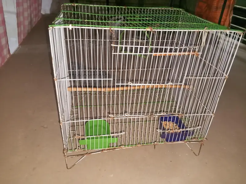 parrot cage for sale — photo 2