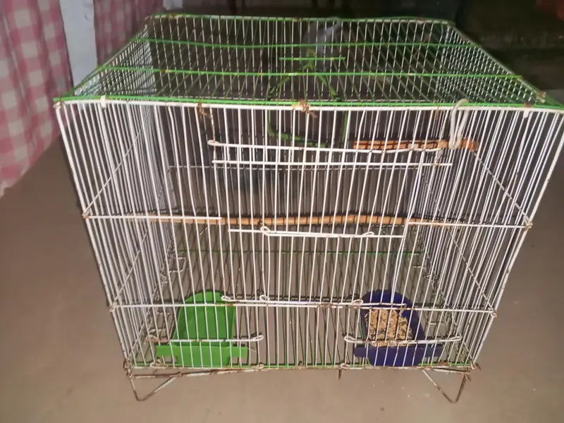 parrot cage for sale — photo 3