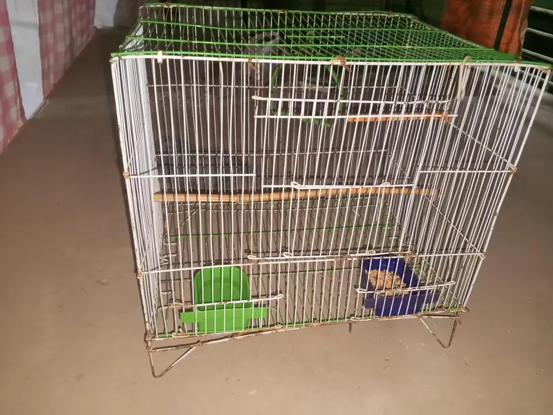 parrot cage for sale — photo 4