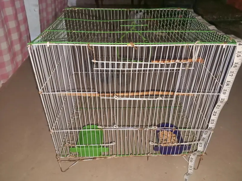 parrot cage for sale — photo 5