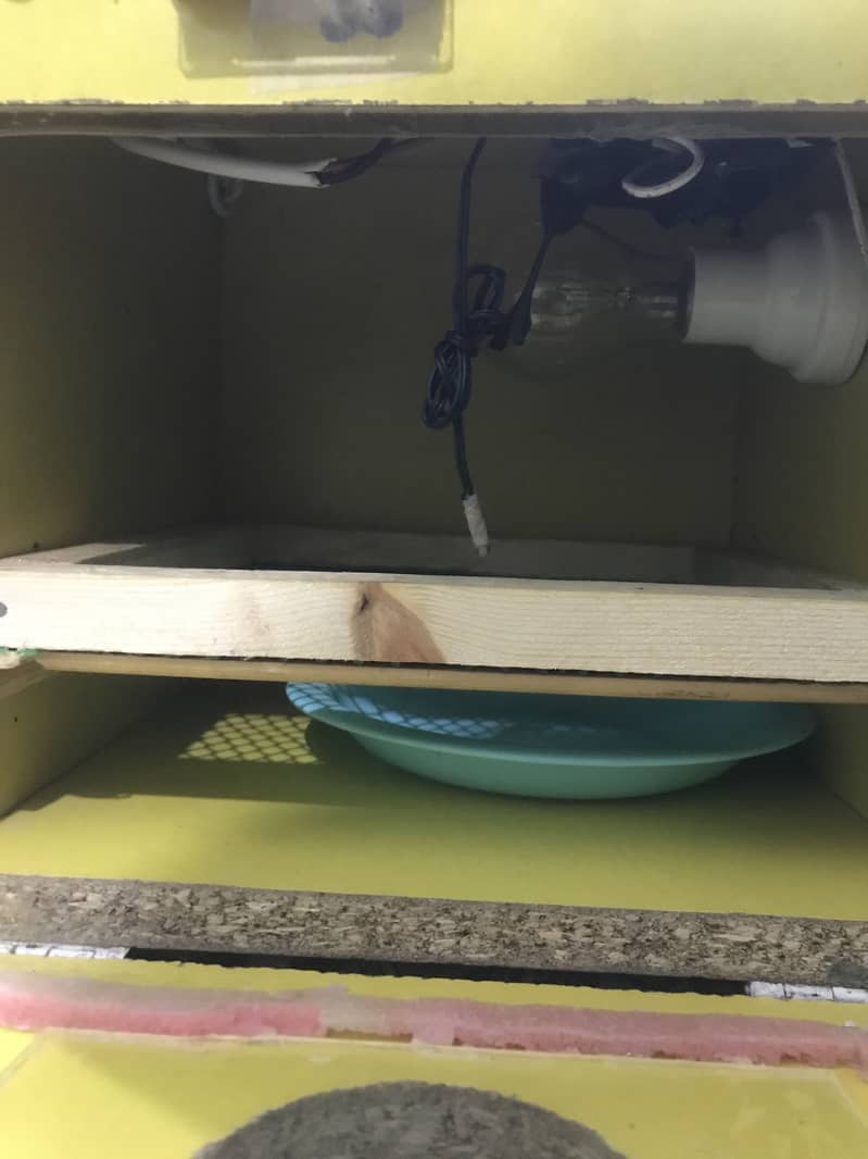 Incubator new 1