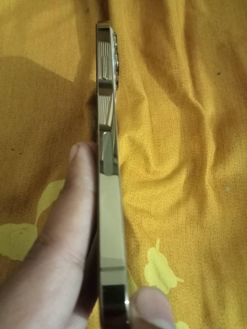 Apple iPhone 13 Pro Max Jv 1