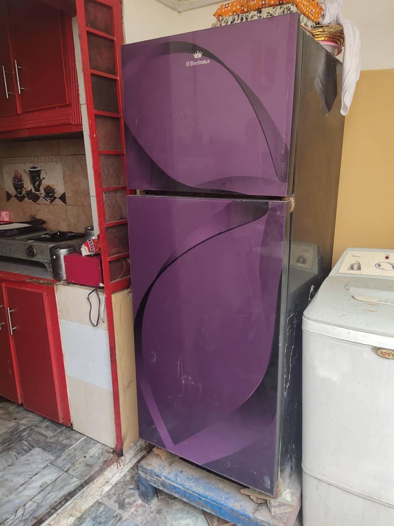 electrulax fridge 2