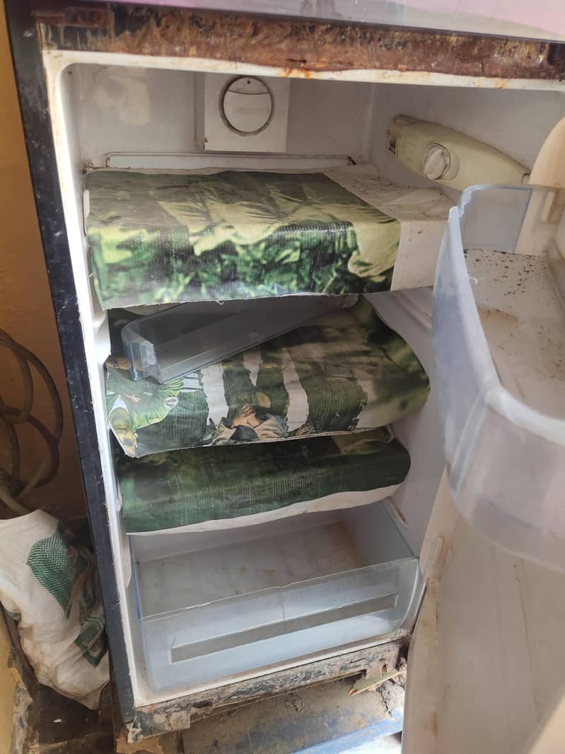 electrulax fridge 3