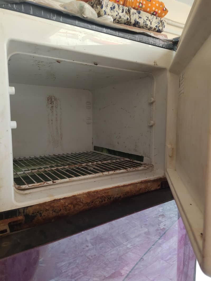 electrulax fridge 4