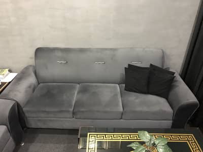 Neat and clean sofas