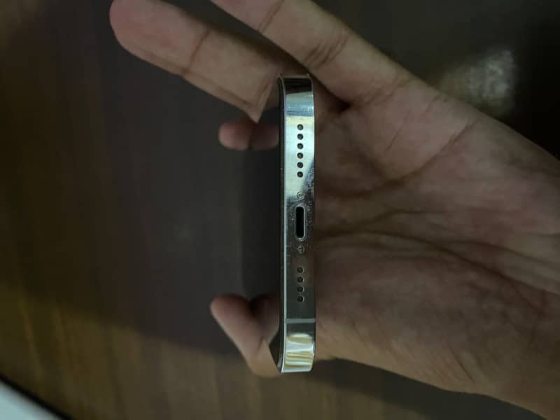 iPhone 14 Pro Max JV 7