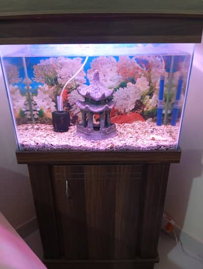 aquarium