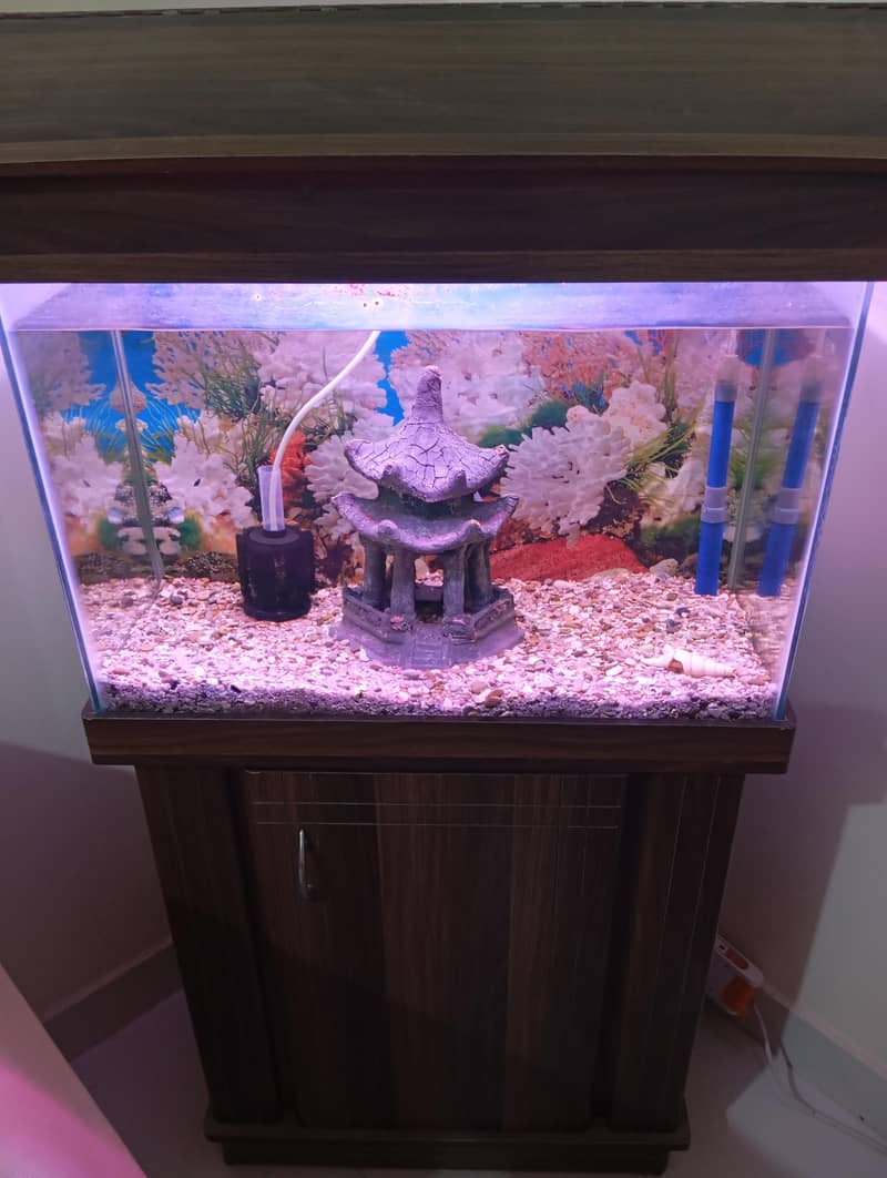 aquarium 1