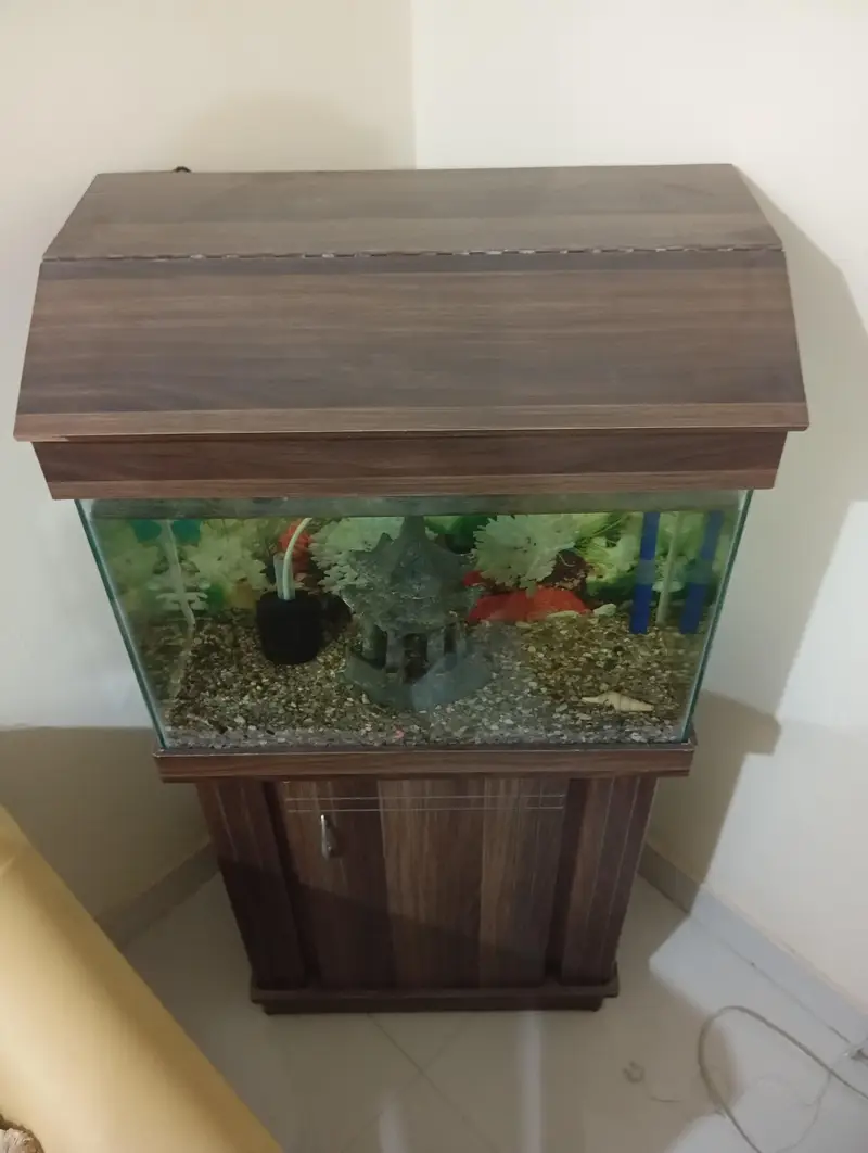 aquarium — photo 3