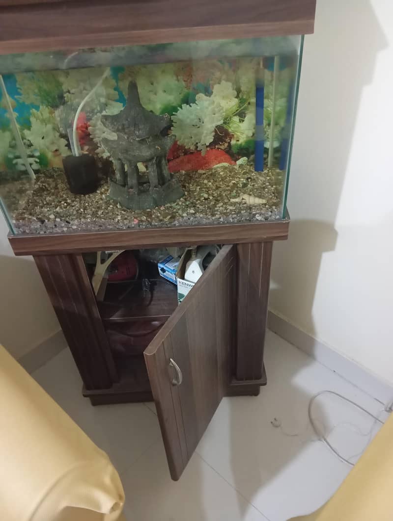 aquarium 3