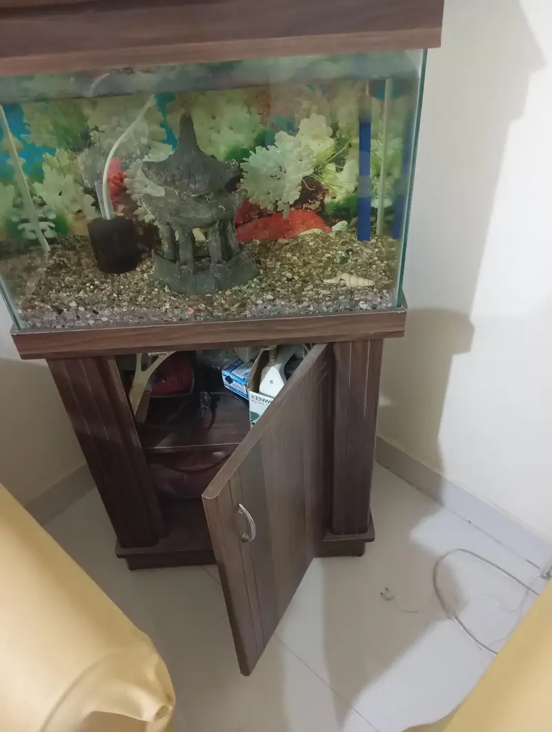 aquarium — photo 4