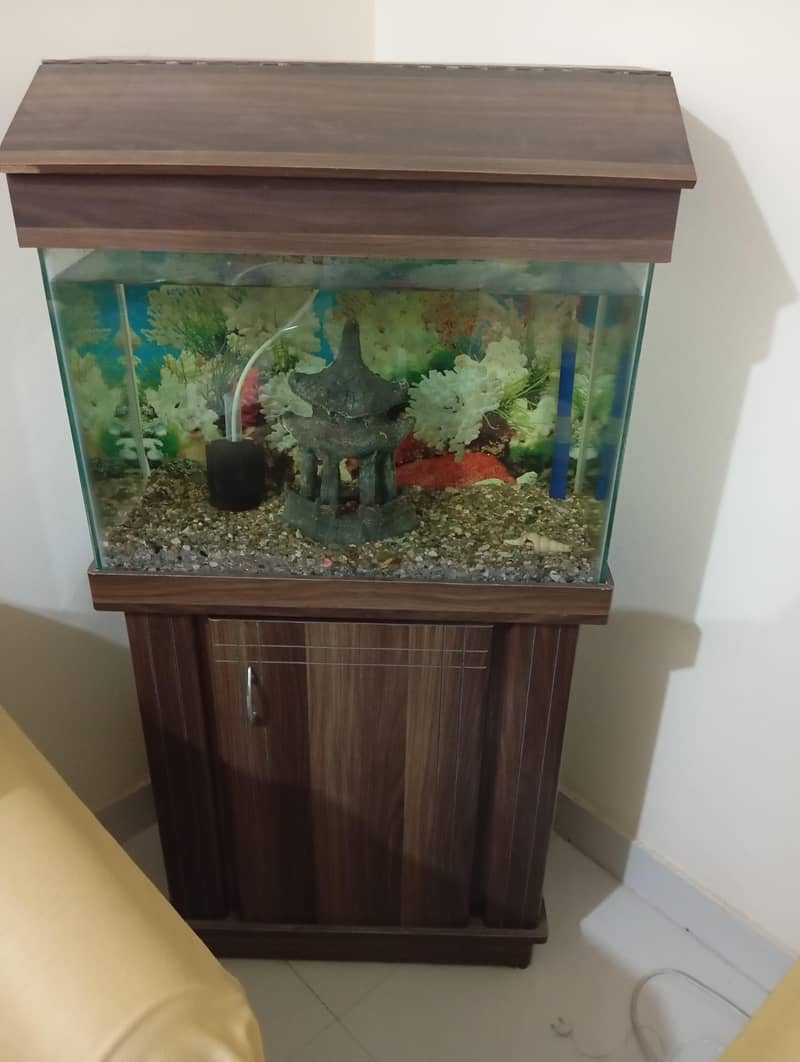 aquarium 4