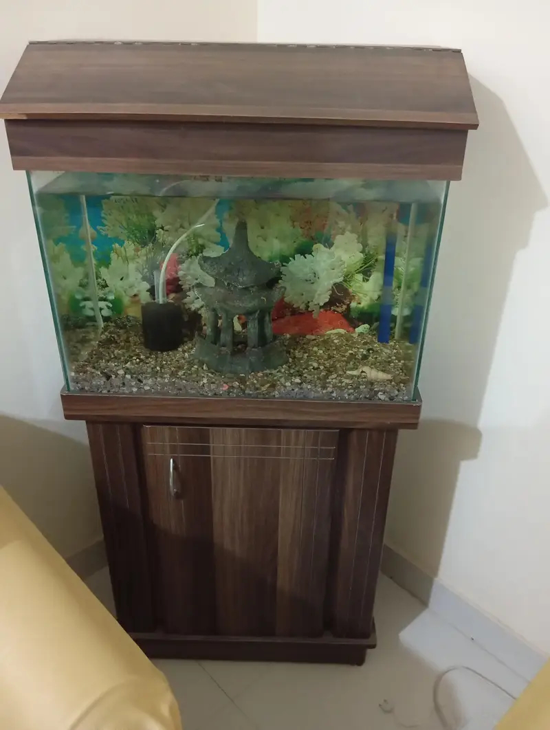 aquarium — photo 5