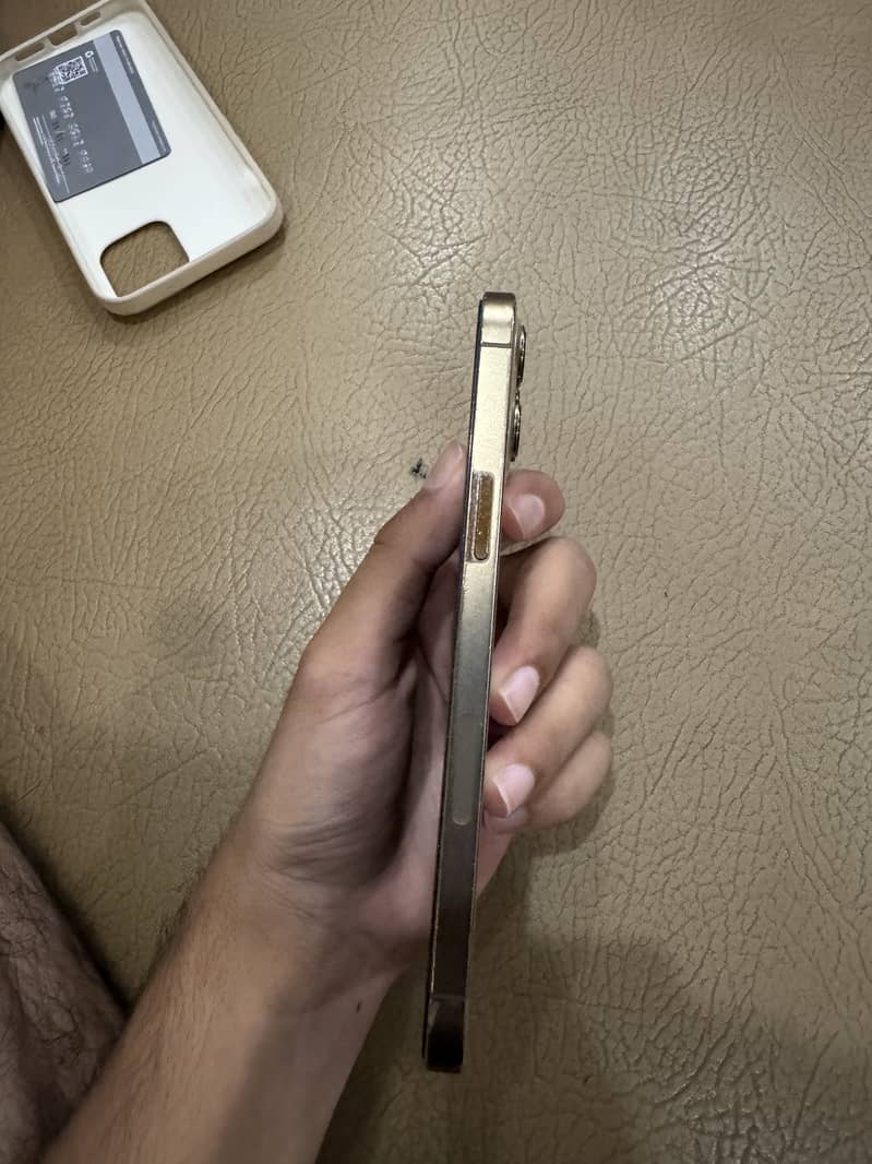 Apple iPhone 12 Pro Max 2