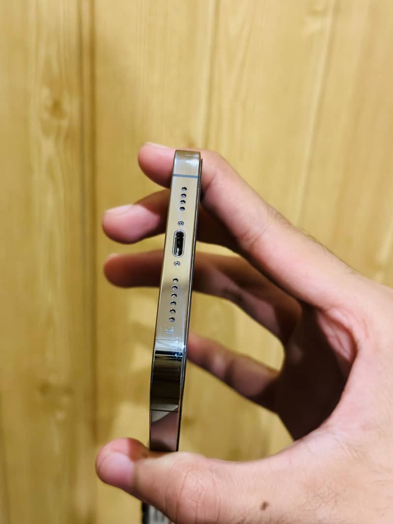 Apple iPhone 13 Pro Max 0