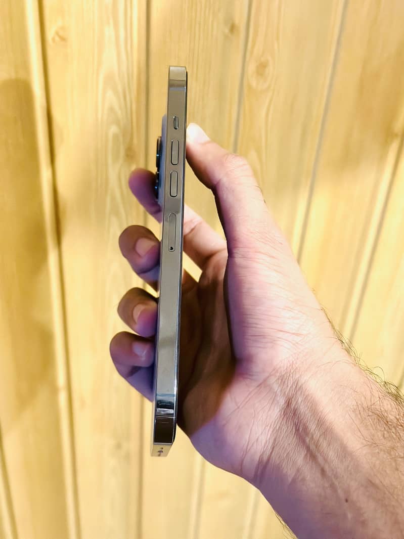 Apple iPhone 13 Pro Max 3