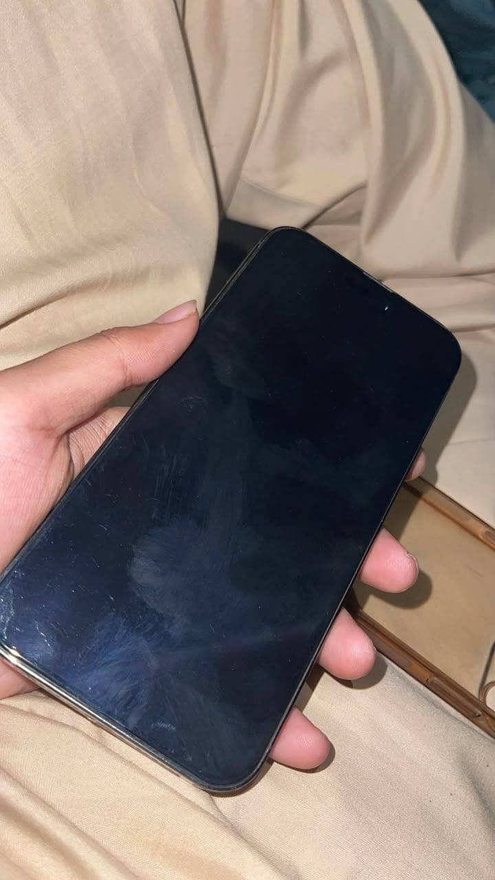 Apple iPhone 14 Pro Max 2