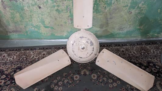 Ceiling Fan in Working Condition | Pure Copper Winding