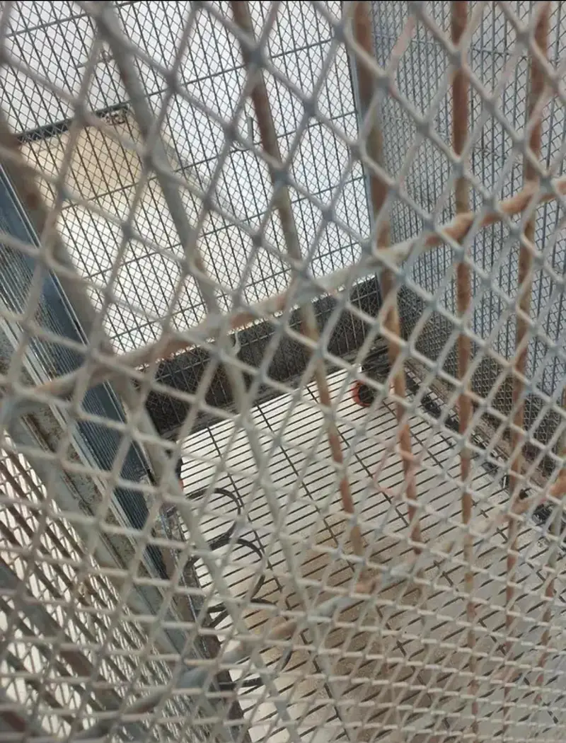Cage For Sale — photo 3