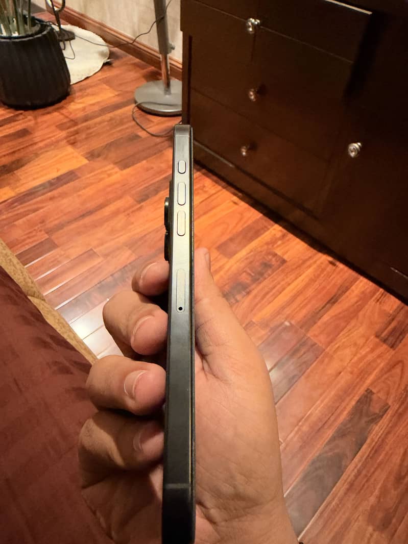 Apple iPhone 16 Pro Max 4