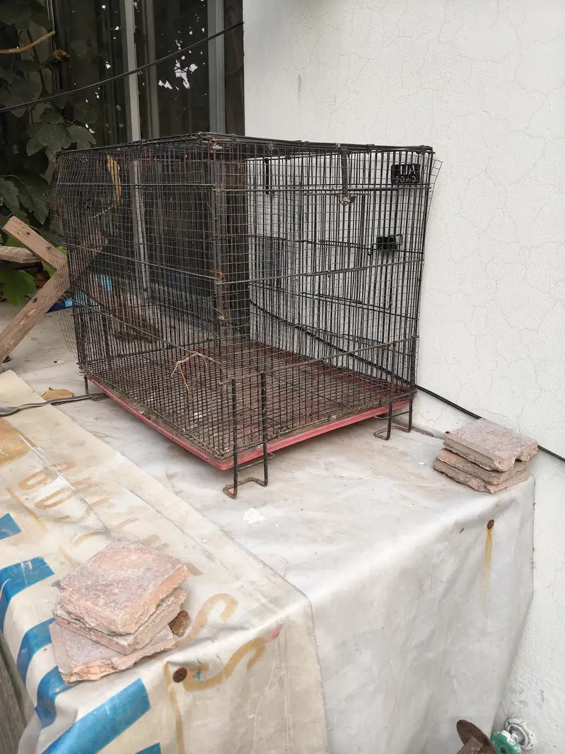 cage for sale — photo 2