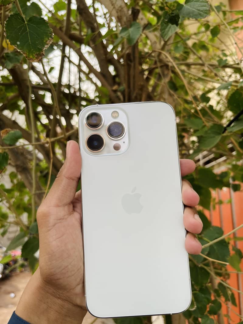 Apple iPhone 13 Pro Max 3
