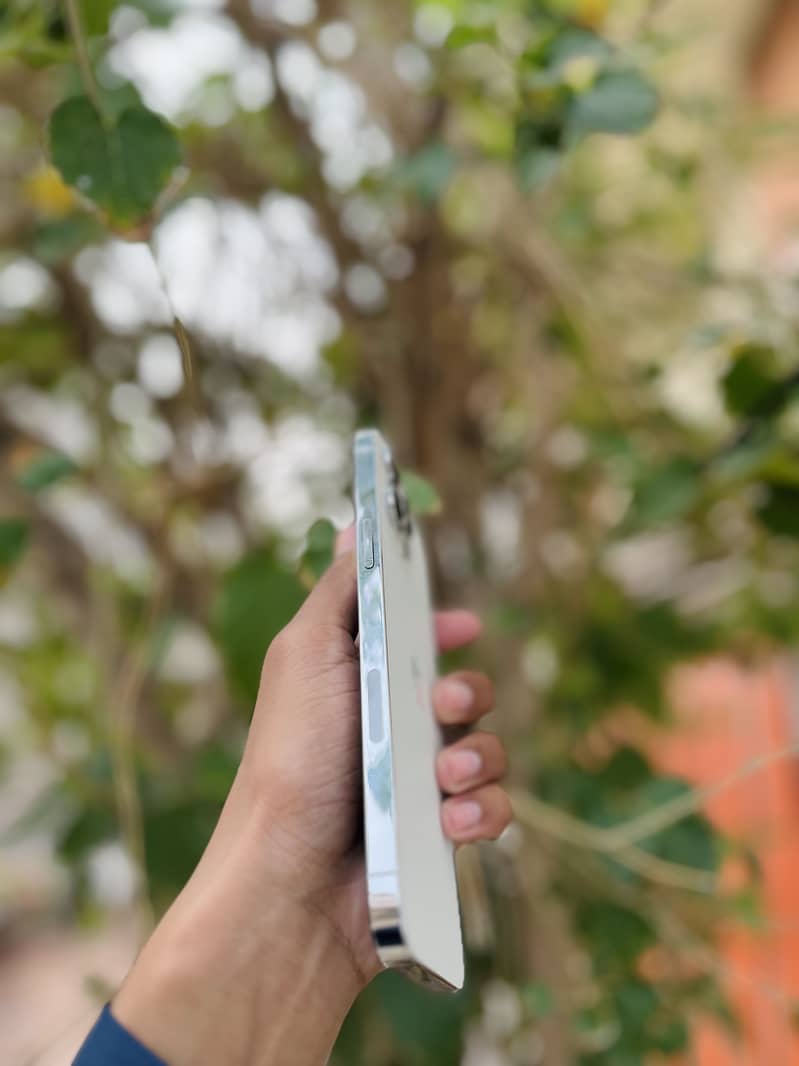 Apple iPhone 13 Pro Max 6