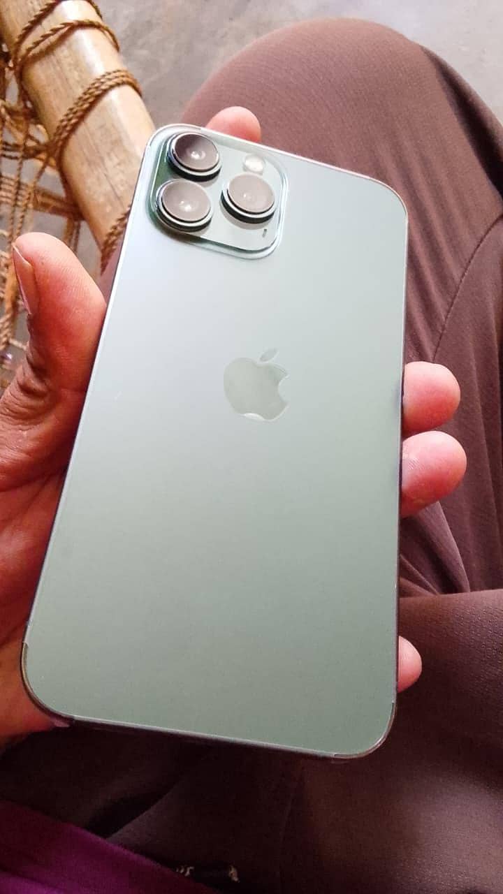 Apple iPhone 13 Pro Max 1