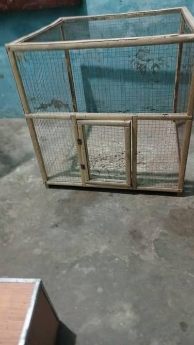 Parrot Cages for Sale – Wooden & Iron Cages with Accessories