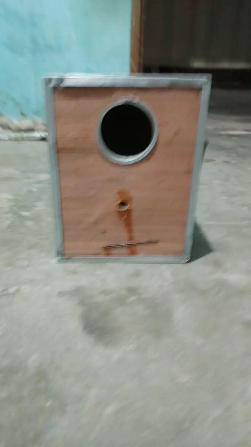 Parrot Cages for Sale – Wooden & Iron Cages with Accessories — photo 2