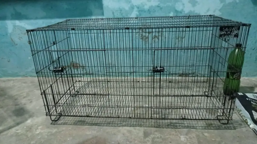 Parrot Cages for Sale – Wooden & Iron Cages with Accessories — photo 3