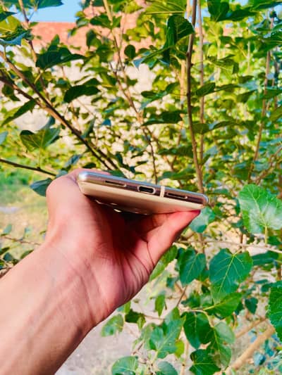 Google Pixel 6 Pro