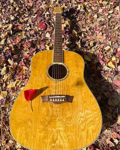 Dean AXS Dreadnought Quilt Ash Acoustic Guitar (Mint Condition)