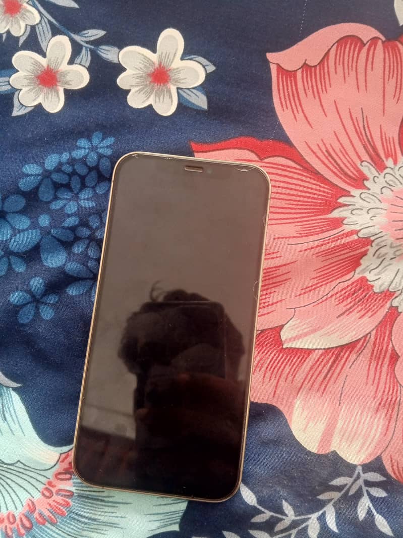 Apple iPhone 12 Pro 0